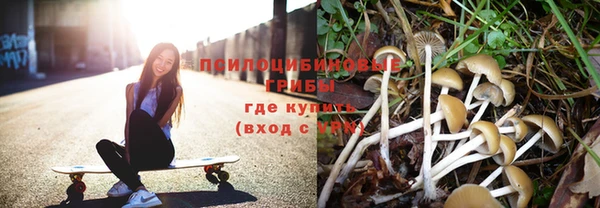 дживик Остров